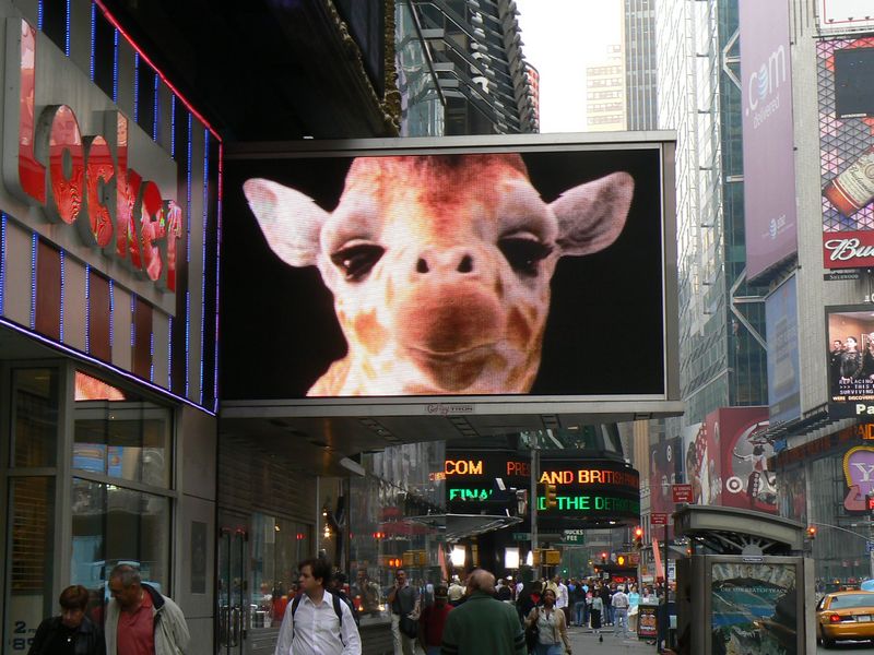 Time Square et 42eme: Time Square 41